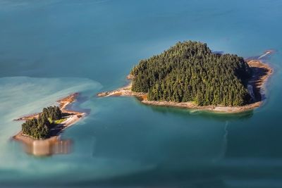 Panoramic view of tree by sea