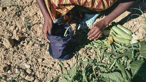 Low section of man standing on field