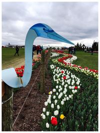 View of flowers against cloudy sky