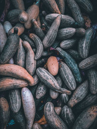 Full frame shot of onions for sale at market