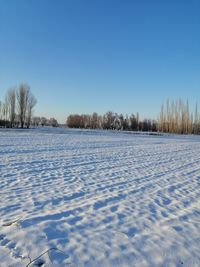 Scenic view of snowy field against clear sky during winter