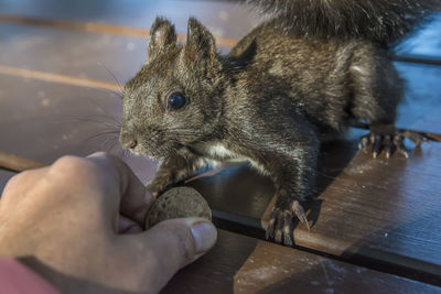 Close-up of person eating food