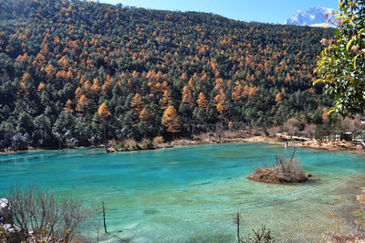 Turquoise lagoon in autumn color. 