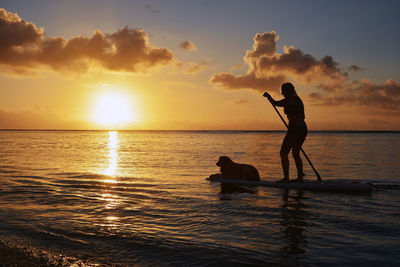 Silhouette woman paddleboarding with dog in sea against sky during sunset