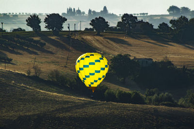 Hot air balloons on field against sky