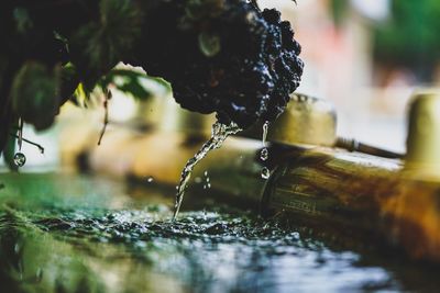 Close-up of wet splashing water