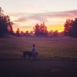 Silhouette of people on field at sunset