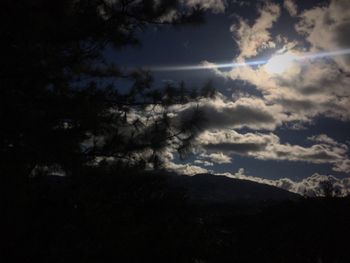 Low angle view of silhouette trees against sky