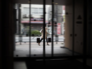 Bird on glass window