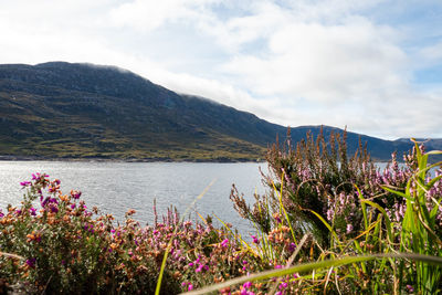 Scenic view of lake by mountains against sky