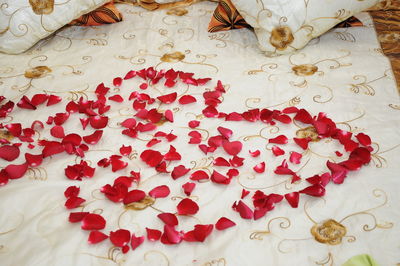 High angle view of white roses on bed