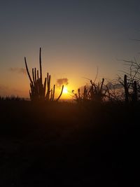 Silhouette plants on field against sky during sunset