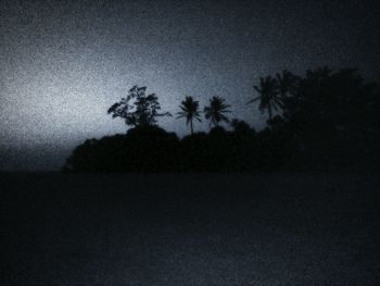 Silhouette trees against clear sky at night