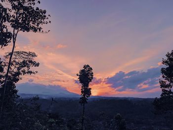 Low angle view of silhouette trees against sky during sunset