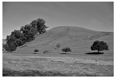 Scenic view of landscape against clear sky