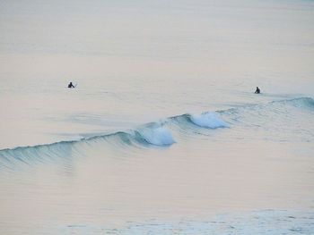 Scenic view of sea