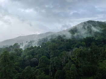 Scenic view of tree mountains against sky