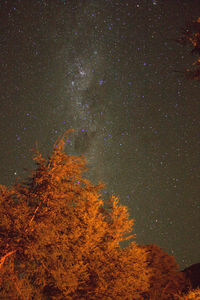 Scenic view of star field against sky at night