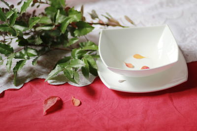 Close-up of dessert in plate on table