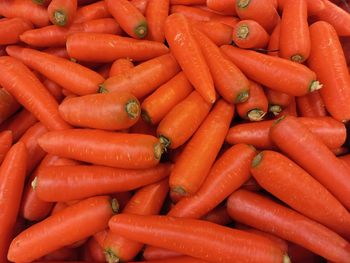 Close up of fresh carrots