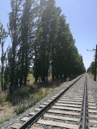 Railway tracks and trees against clear sky