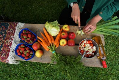 High angle view of vegetables on plant