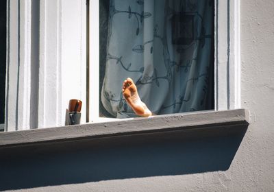 window