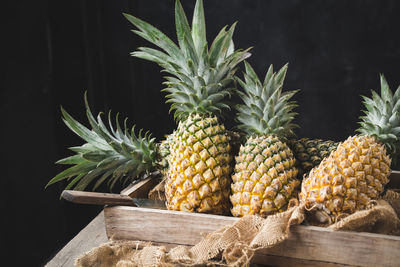 Fresh pineapples on the dark background