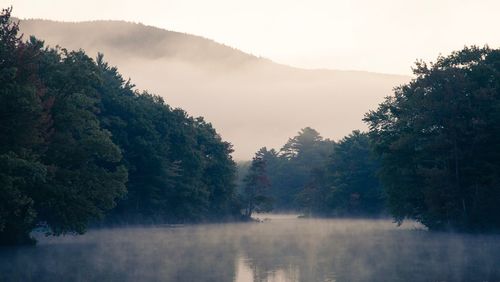 Scenic view of lake by trees against sky