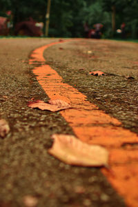 Surface level of leaf on street in city