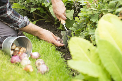 Midsection of person holding plants