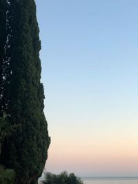 Scenic view of sea against clear sky during sunset