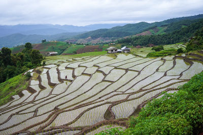 Scenic view of agricultural field against sky