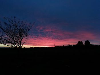 Silhouette trees against sky during sunset