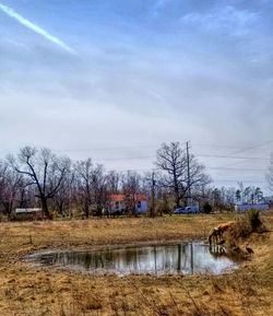 Bare trees by river against sky