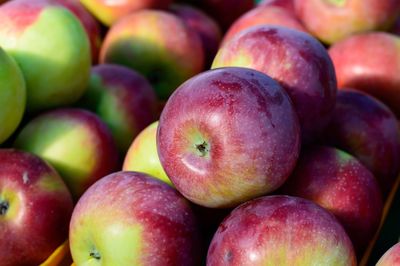 Full frame shot of apples