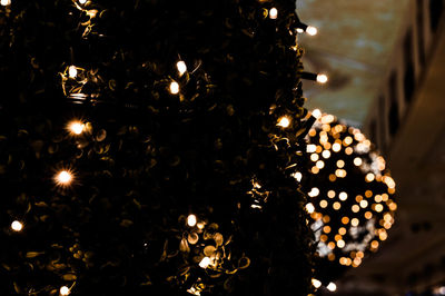 Close-up of illuminated christmas tree at night