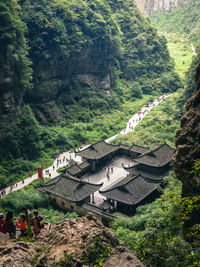 High angle view of trees and houses in forest