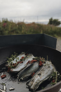 Close-up of fish on barbecue grill