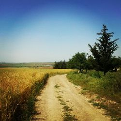 Dirt road passing through field against clear sky