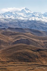 Different elevations and colors of land and the highest being mt. everest and the himalayas in tibet