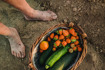 Low section of man with vegetables in basket