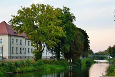 Trees by river and buildings against sky