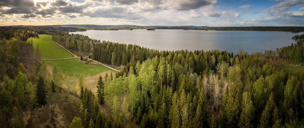 Panoramic shot of trees on landscape against sky