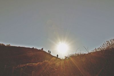 Sun shining over landscape