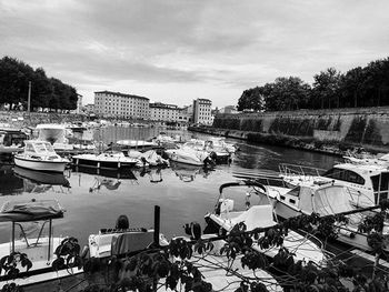 Boats in harbor