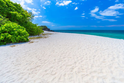 Scenic view of beach against sky