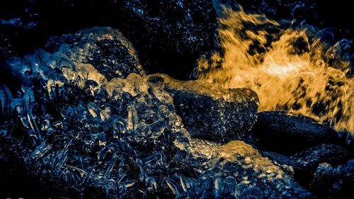 Close-up of illuminated rocks at night