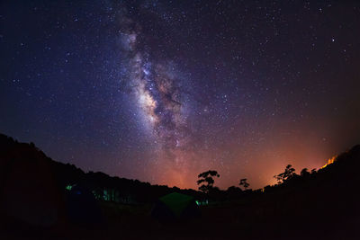 Silhouette trees against sky at night