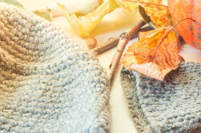 Close-up of autumn leaf